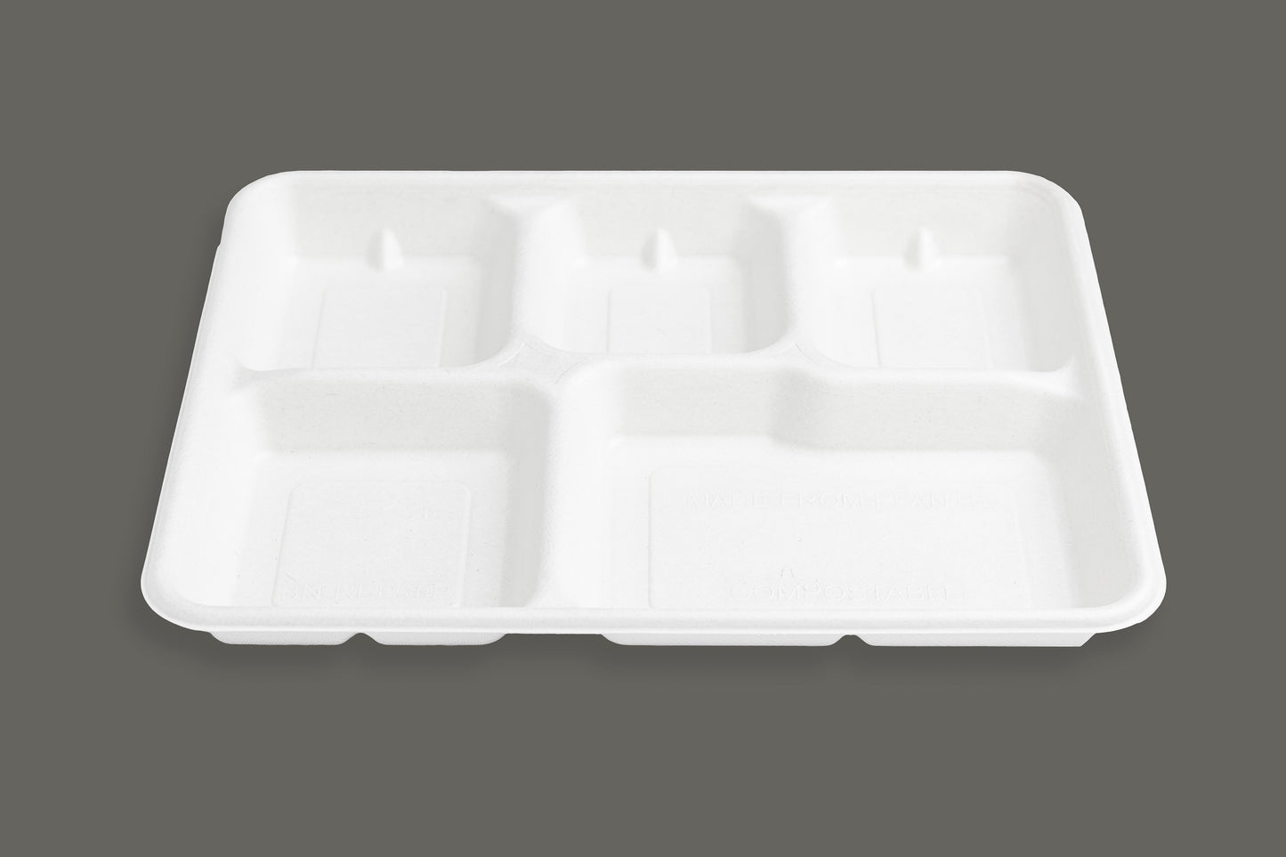 Bagasse Paper Plate with 5 Compartments from EcoPaack