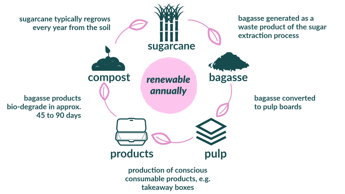 The Science Behind Bagasse: Why it's a Great Packaging Material