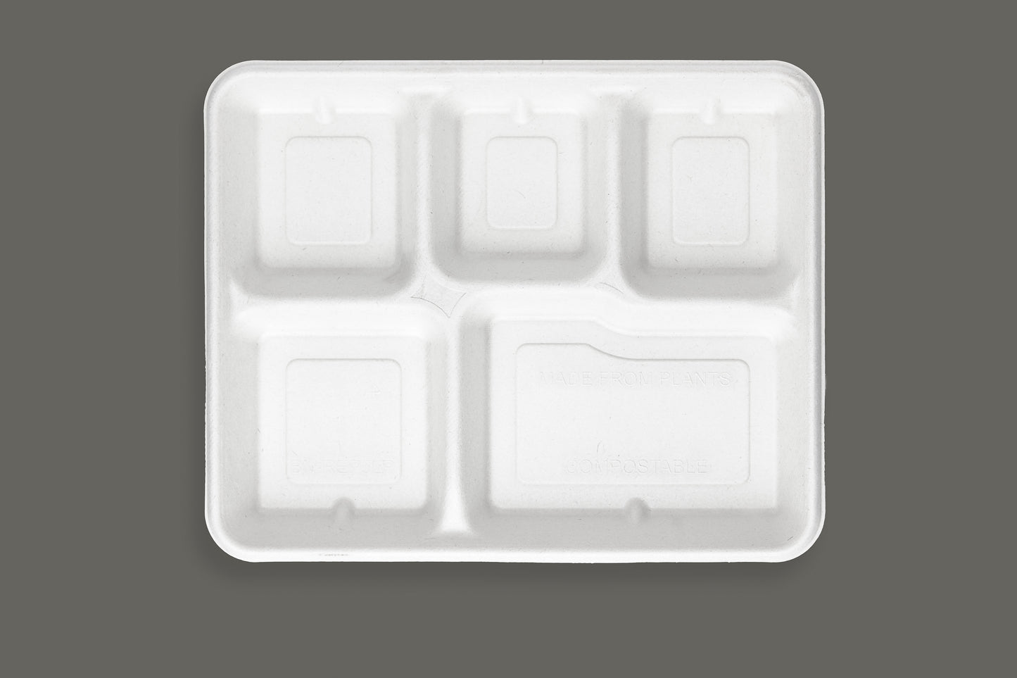 Bagasse Paper Plate with 5 Compartments from EcoPaack
