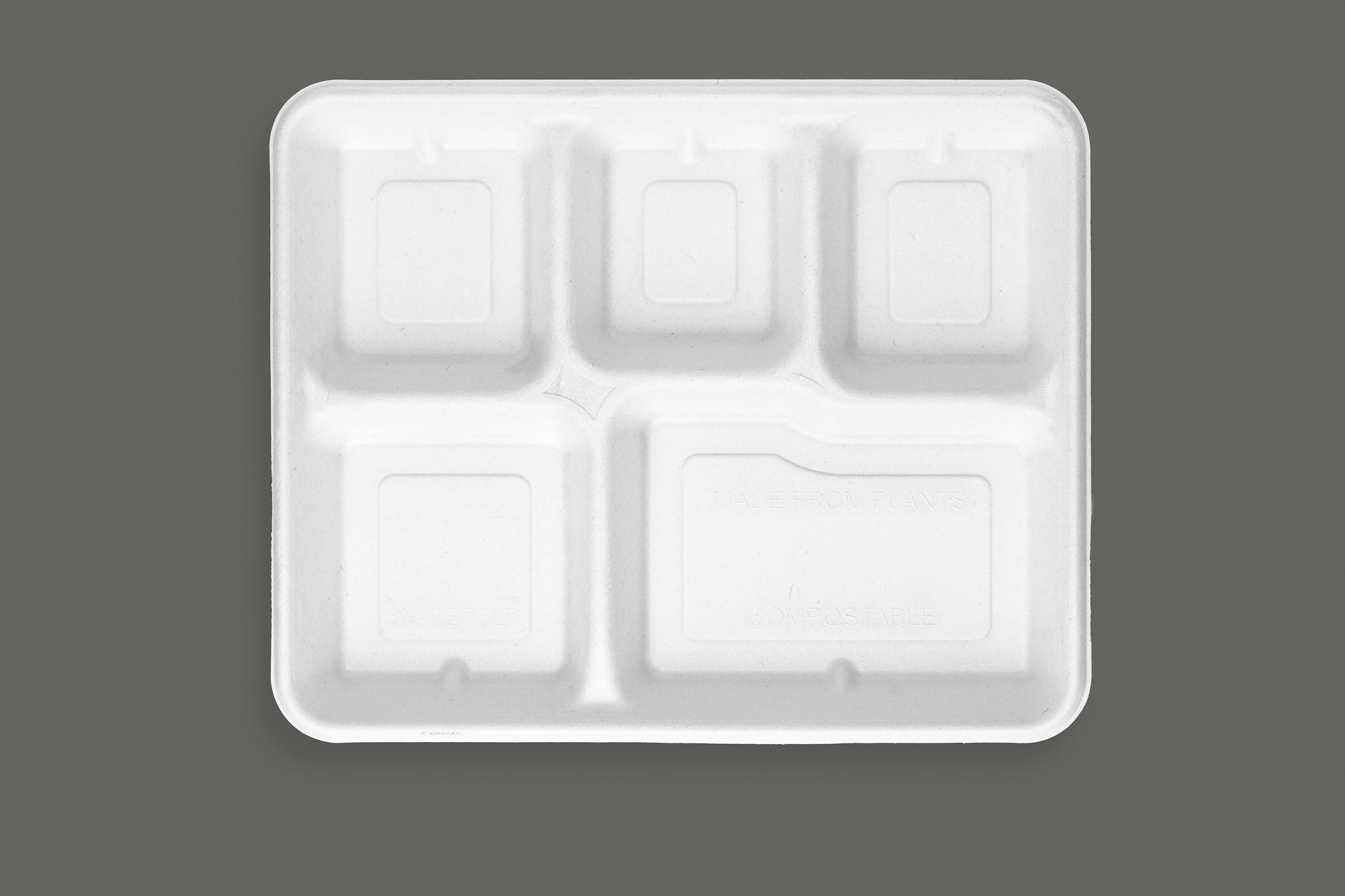 Bagasse Paper Plate with 5 Compartments from EcoPaack